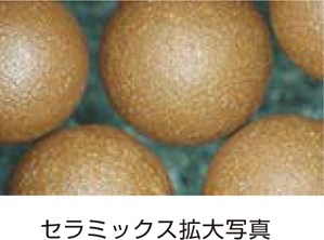 Z~bNXgʐ^